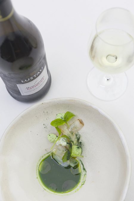 AlimentaciónHome | MikeWater.com