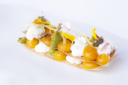 AlimentaciónHome | MikeWater.com