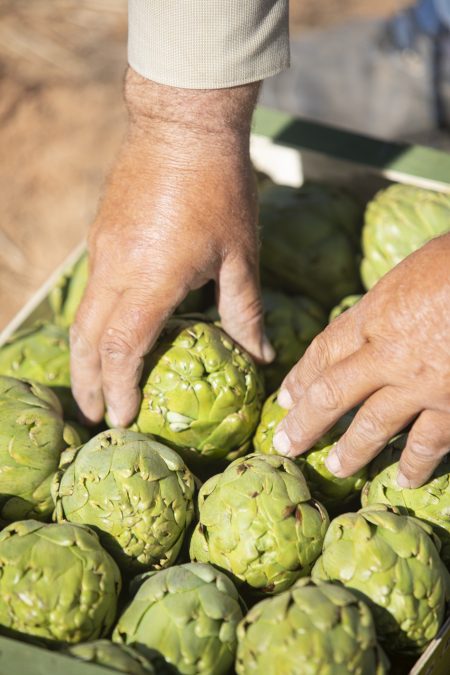 storytelling | MikeWater.com